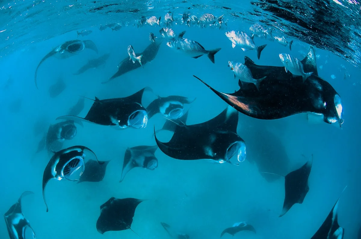 Ocean Exploration